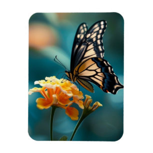 Ímã Borboleta bonito em uma Flor