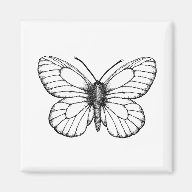 Imã Borboleta branca de veado negro (Frente)