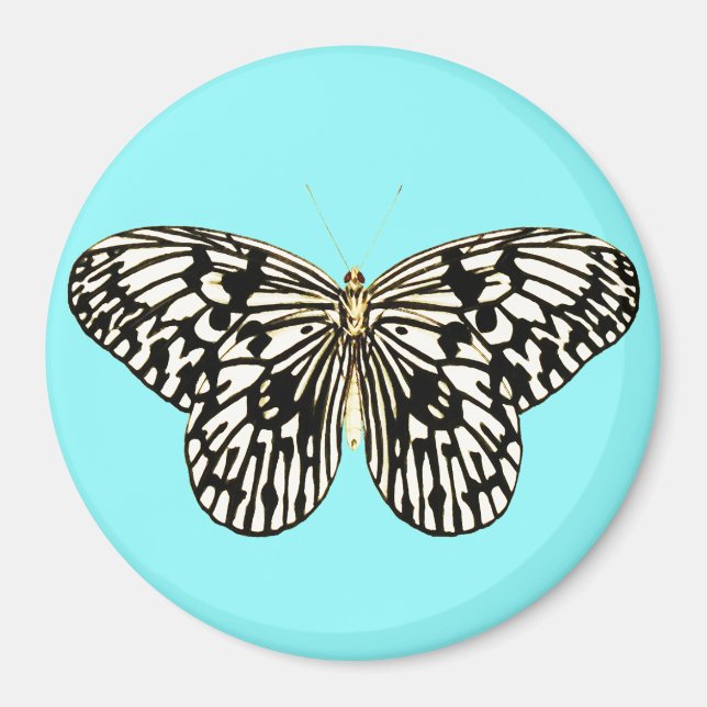 Imã Borboleta branca e preta, fundo de turquesa (Frente)