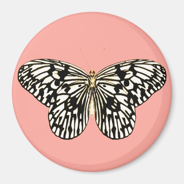 Imã Borboleta branca e preta,fundo rosa-coral (Frente)