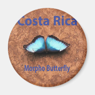Imã Borboleta Costa Rica de Morpho