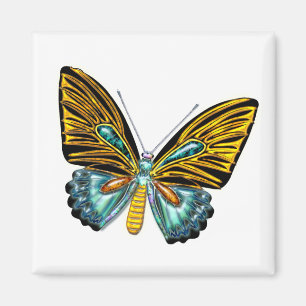 Imã Borboleta de Bling Bling