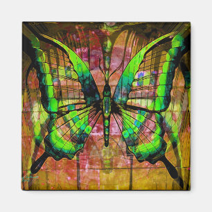 Imã Borboleta de Ferro