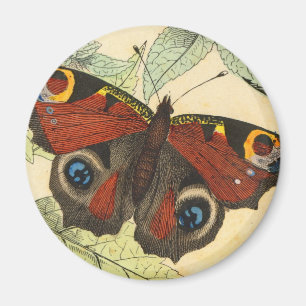 Imã Borboleta de pavão