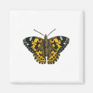 Imã Borboleta-de-senhora pintada