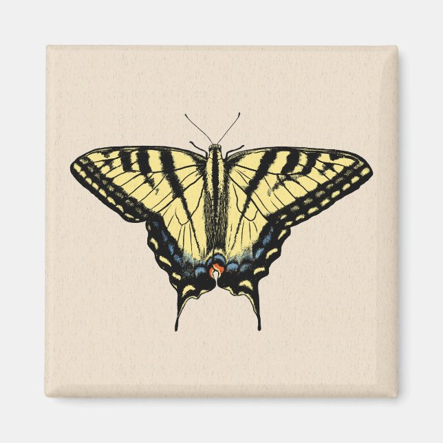 Imã Borboleta-do-sudoeste (Frente)