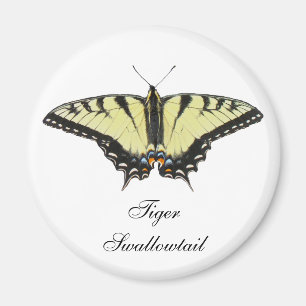 Imã Borboleta do Swallowtail de Tigre