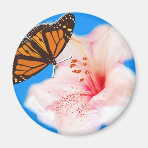 Imã borboleta e flor