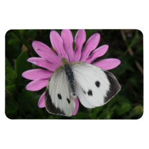 Ímã Borboleta e Flor Rosa Premium Magnet
