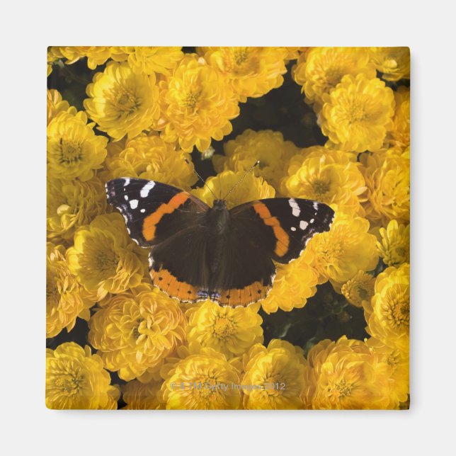 Imã Borboleta em madeiras amarelas (Frente)