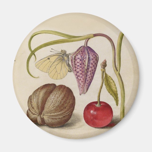 Imã Borboleta Flor de Noz Flor, Cereja, Aquarela (Frente)