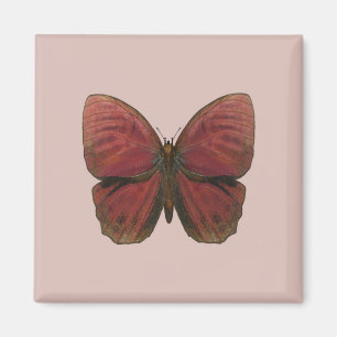 Imã Borboleta Galo Vermelho