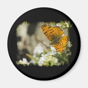 Imã Borboleta Laranja