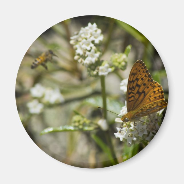 Imã Borboleta Laranja e Abelha (Frente)