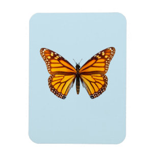 Ímã Borboleta Monarca