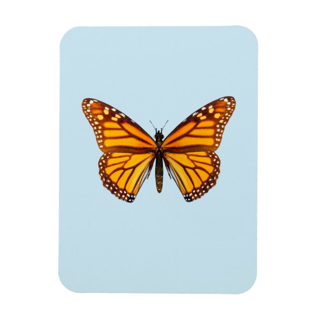Ímã Borboleta Monarca (Vertical)