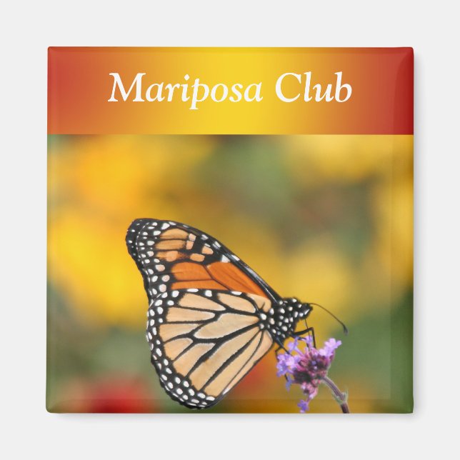 Imã Borboleta Monarca em Busca de pólen (Frente)