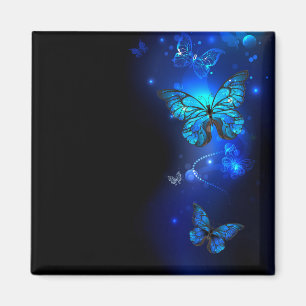 Imã Borboleta Morpho no Fundo Escuro