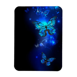 Ímã Borboleta Morpho no Fundo Escuro