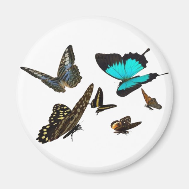 Imã Borboleta múltipla (Frente)