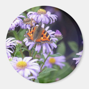 Imã Borboleta Nas Flores