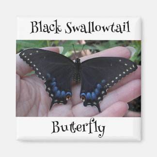 Imã Borboleta Negra