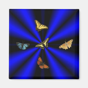 Imã Borboleta no arco-íris preto e azul
