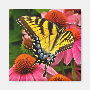 Imã Borboleta no ímã da flor v22