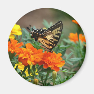 Imã Borboleta no ímã Flores Laranja e Amarela