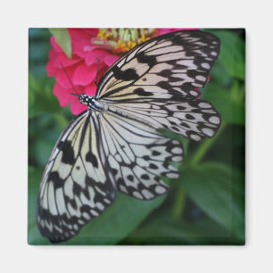 Imã Borboleta Paperkite