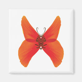 Imã Borboleta Papoula Laranja Vermelho com Seu Nome