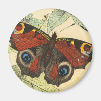 Imã Borboleta Peacock