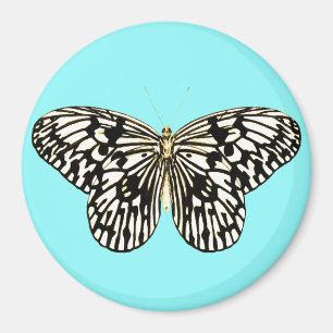 Imã Borboleta preta e branca, fundo de turquesa