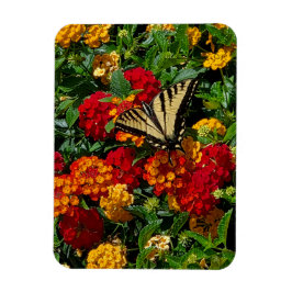 Ímã borboleta rabo de andorinha amarela flores laranja