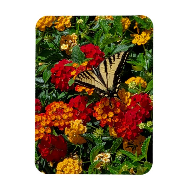 Ímã borboleta rabo de andorinha amarela flores laranja (Vertical)