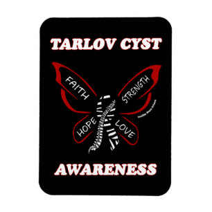 Ímã Borboleta/Sensibilização...Cistos Tarlov