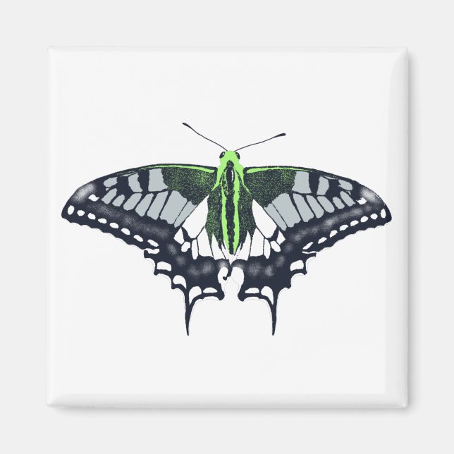 Imã Borboleta Swallowtail de Sinalizador Agender (Frente)