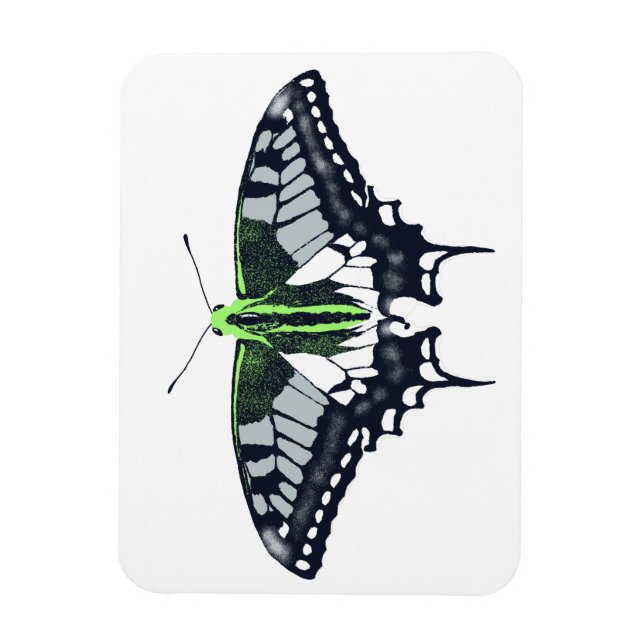Ímã Borboleta Swallowtail de Sinalizador Agender (Vertical)