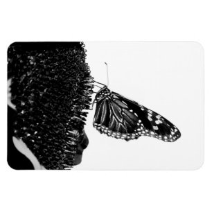 Ímã borboleta tímida preta