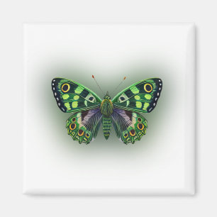 Imã Borboleta Verde