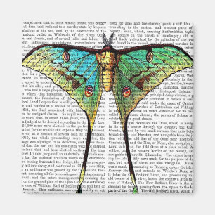 Imã Borboleta vibrante