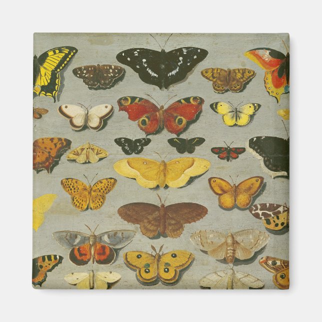 Imã Borboletas (Frente)