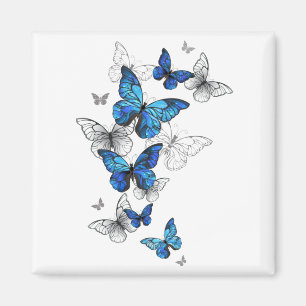 Imã Borboletas Azuis Morpho