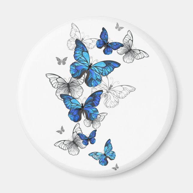 Imã Borboletas Azuis Morpho (Frente)