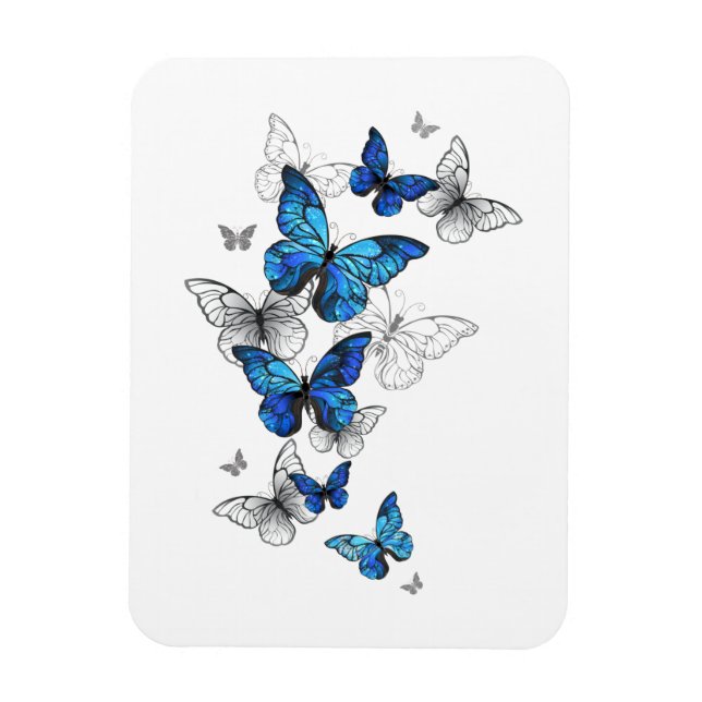 Ímã Borboletas Azuis Voadoras Morpho (Vertical)