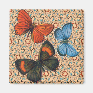 Imã Borboletas De Ramificação Sm Qualquer Magneta De C