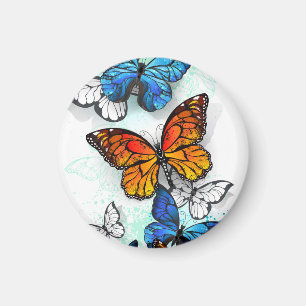 Imã Borboletas Voadoras Morpho e Monarca
