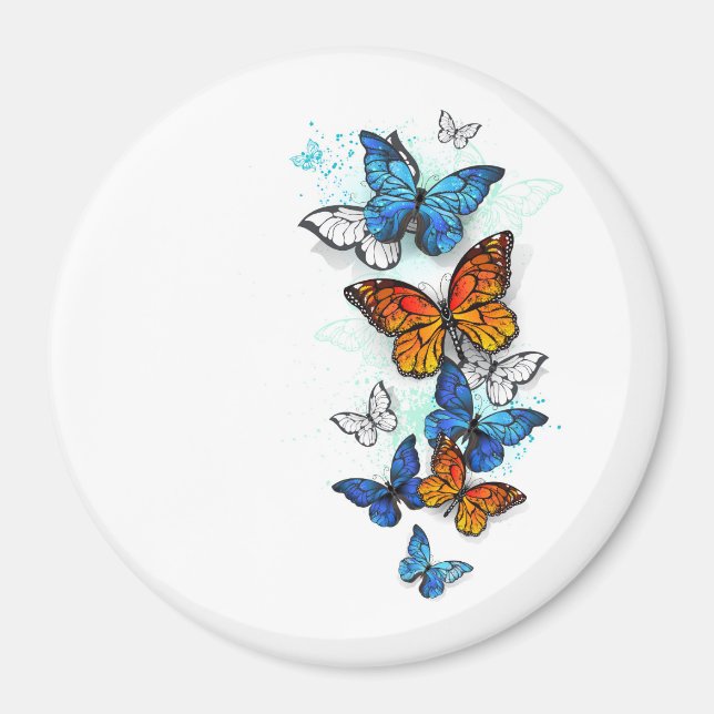 Imã Borboletas voadoras Morpho e Monarca (Frente)