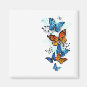 Imã Borboletas voadoras Morpho e Monarca