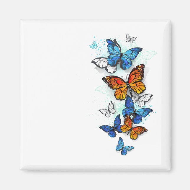 Imã Borboletas voadoras Morpho e Monarca (Frente)